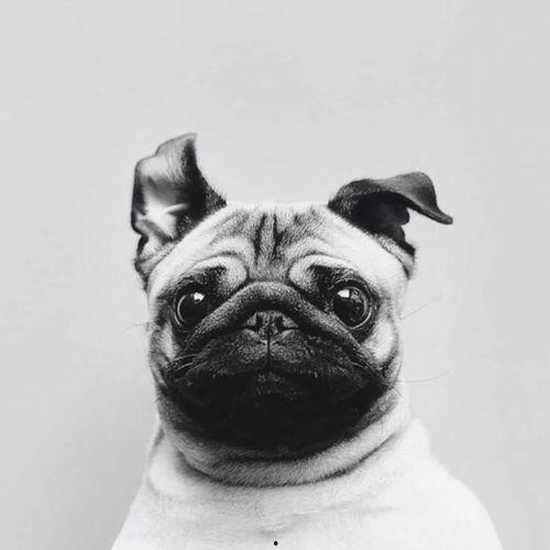 巴哥新爆料明哥视频大全,揭秘明哥视频大全背后的惊人真相 第2张 巴哥新爆料明哥视频大全,揭秘明哥视频大全背后的惊人真相 第2张